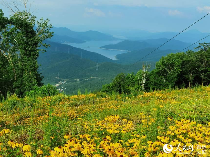 ɽ픻ghɫˣWS z