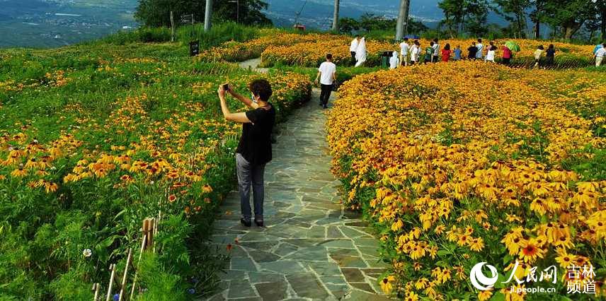 游客駐足花叢間拍照留念(人民網王海躍 攝)