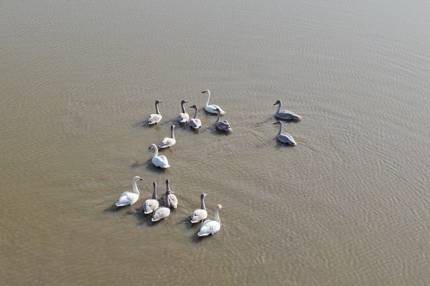 �򺣱��o�^��Ϣ�����Z��