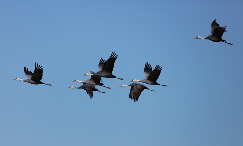 ���_�����o�^��Ϣ�İ��^�Q��