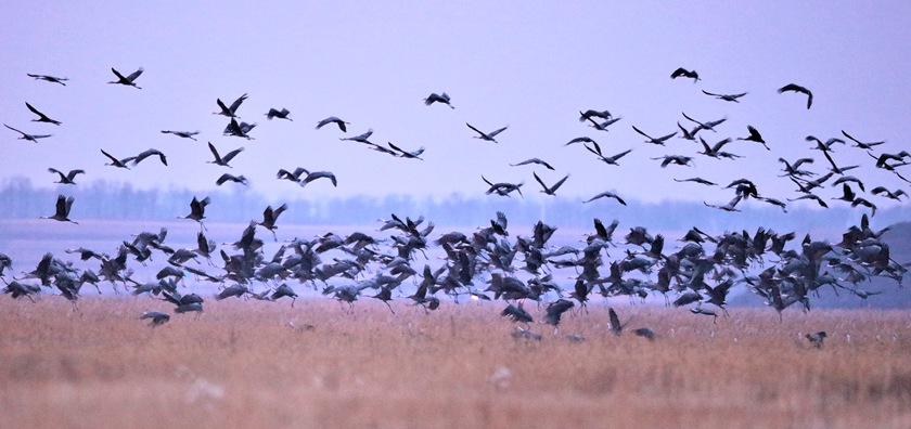 ���_�����o�^��Ϣ�İ��^�Q��