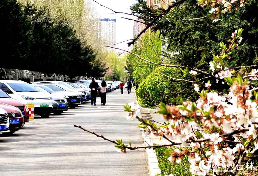 重拾“人間煙火” 吉林省正慢慢“復蘇”。人民網 關思聰攝