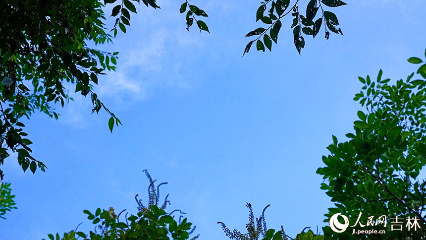 吉林“高顏值”藍天白云在線。人民網 李思玥攝