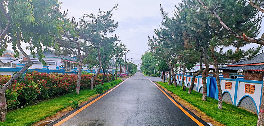 光東村村貌。（光東村供圖）