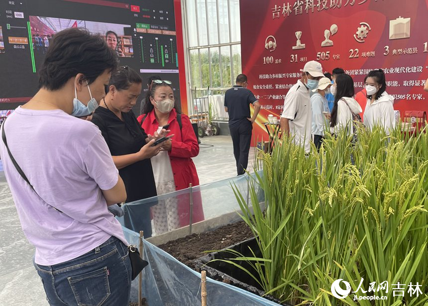 游客駐足參觀。人民網 李思玥攝