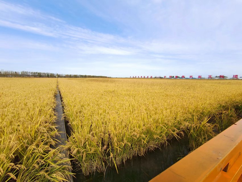 這十年，長春農業豐產蓄能碩果累累