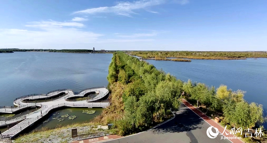 江上小路綠樹成蔭。人民網 石天蛟攝