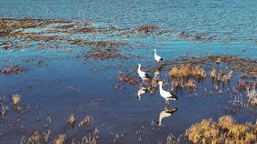 嫩江灣國家濕地公園