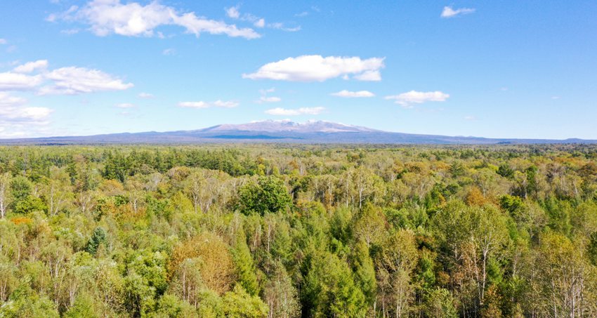 資料圖片。（趙冷冰 攝）