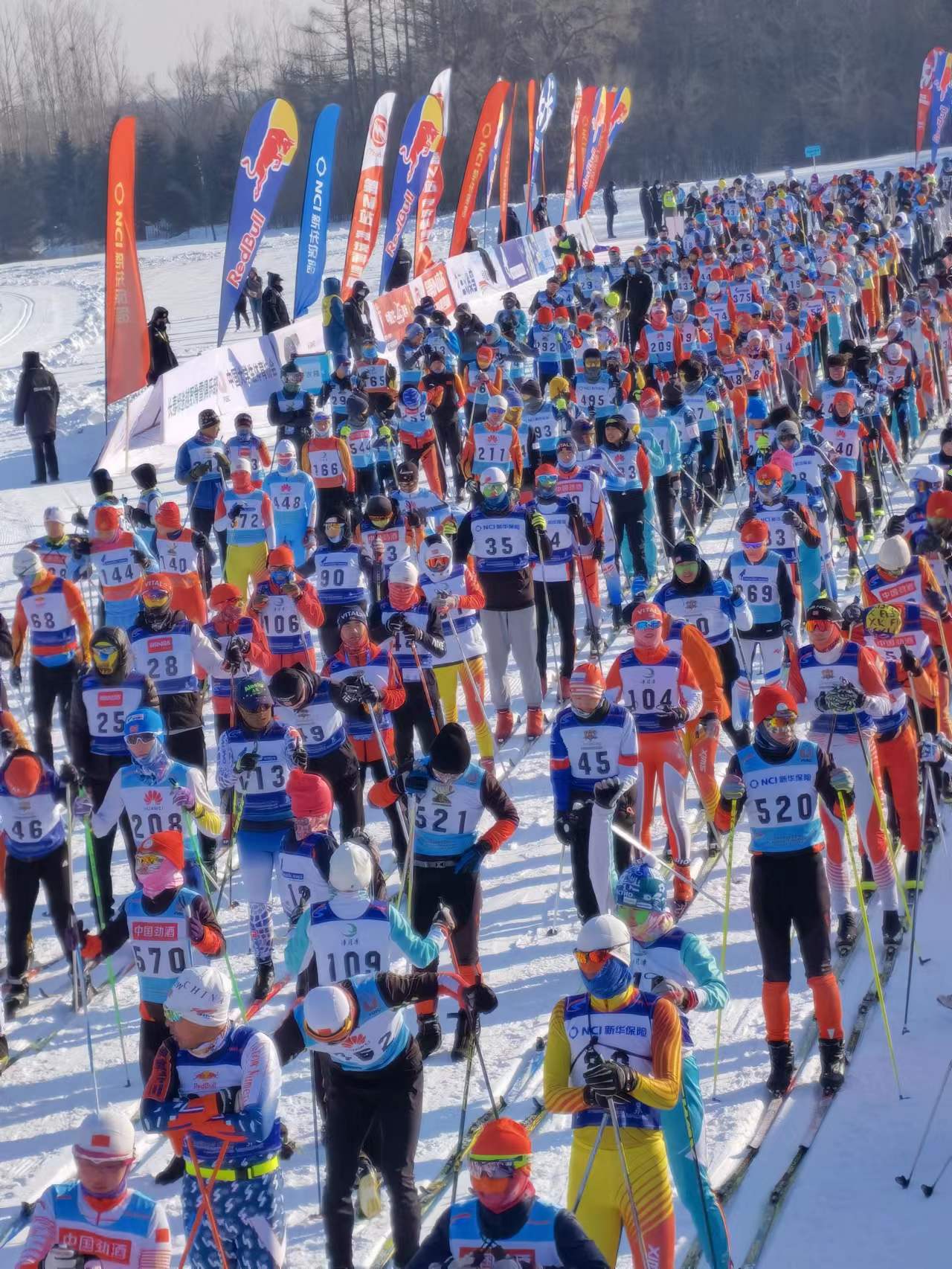 瓦薩國際滑雪節。人民網李洋 攝