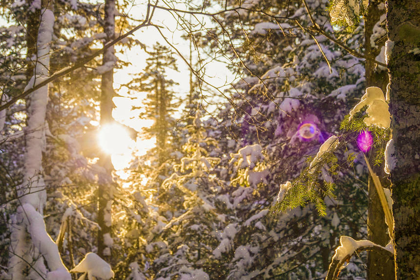長白山景區景色宜人。呂昊俊攝
