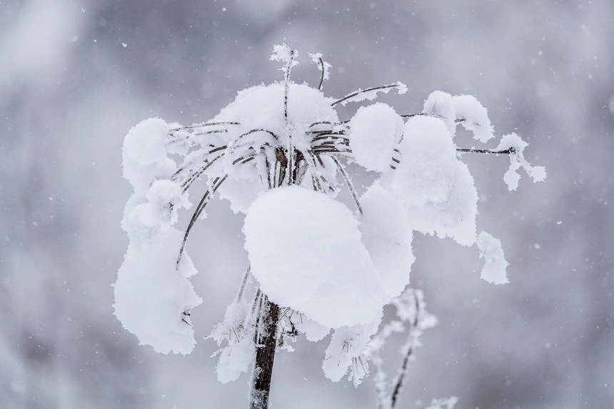 長白山景區一角。呂昊俊攝