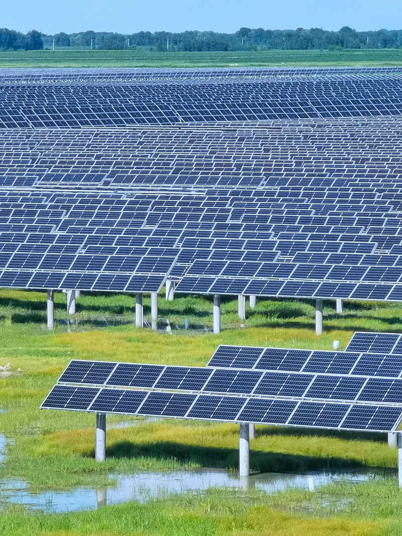 白城光伏項目。人民網李洋 攝