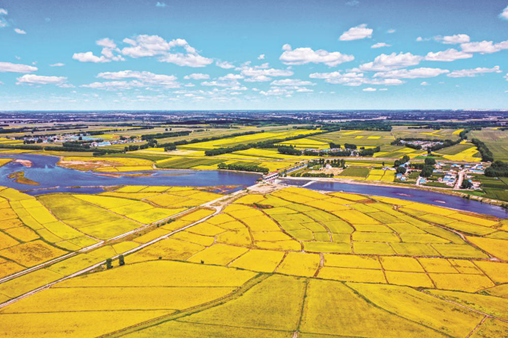  古城糧豐季 倉廩俱盈實又是一年豐收季，又是一年收獲時。這是一年中最值得驕傲的季節，是大地回饋農人辛勤耕耘的季節，一幅“糧”辰“豐”景，如詩如畫。