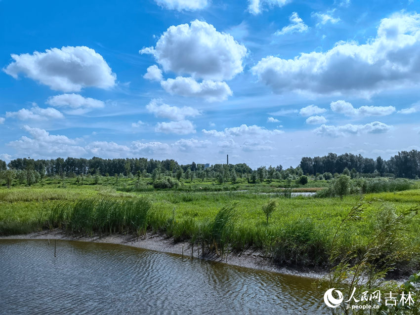 藍天白云下，新凱河波光粼粼。人民網記者 馬俊華攝