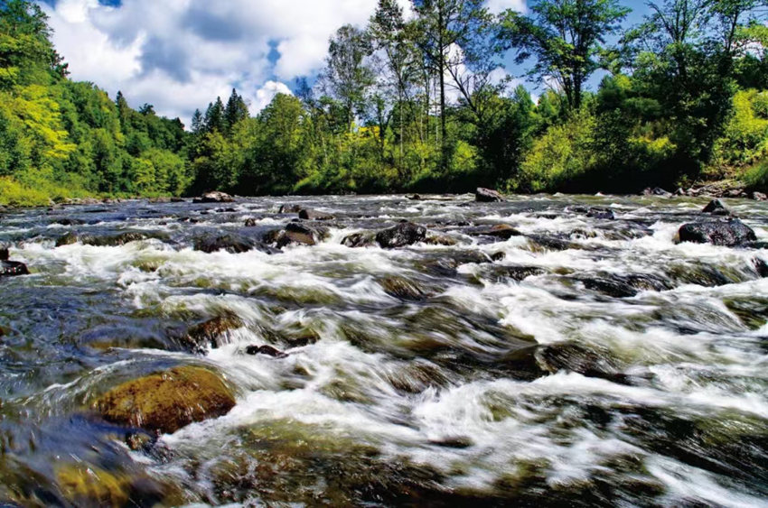 清爽吉林，22℃的夏天。（資料圖片 吉林省文化和旅游廳供圖）