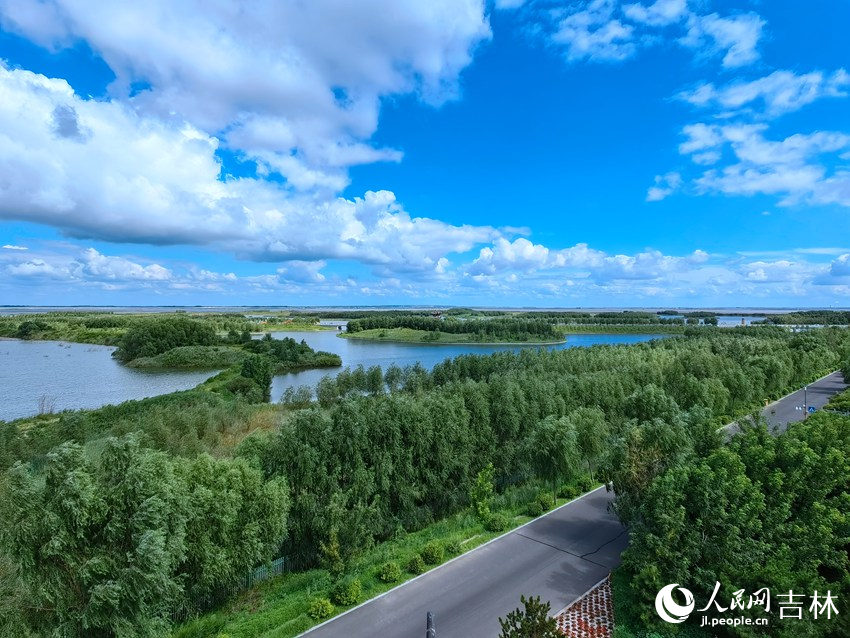 綠色生態屏障。人民網記者 馬俊華攝