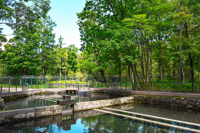 農心水源地。（安圖縣委宣傳部供圖）