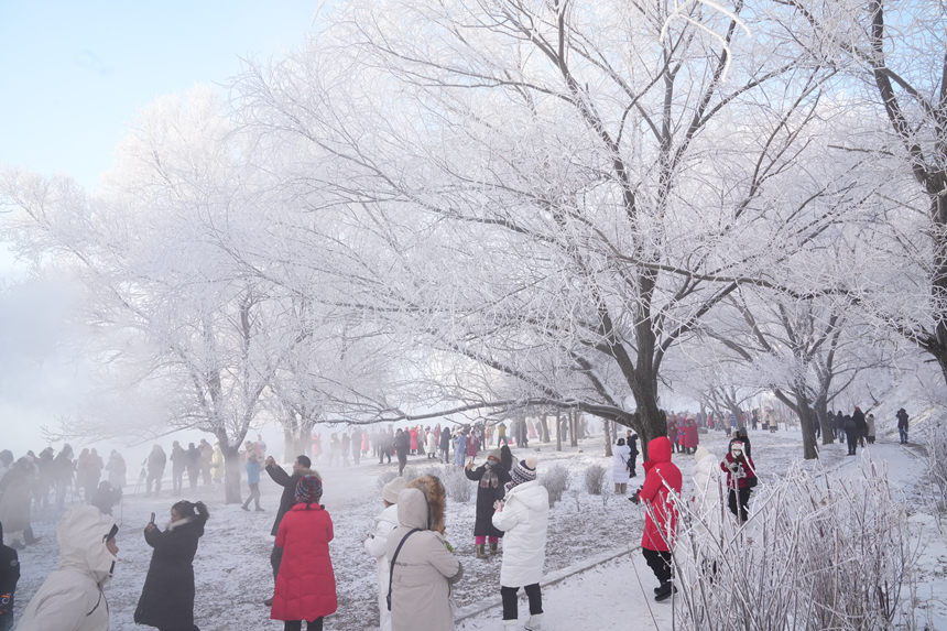 近日，吉林市迎來多場星級霧凇景觀。人民網記者 李洋攝