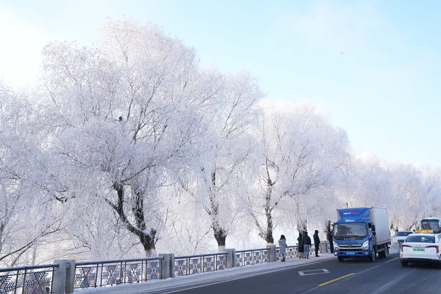 近日，吉林市迎來多場星級霧凇景觀。人民網記者 李洋攝