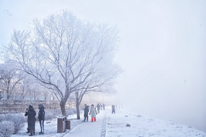 近日，吉林市迎來多場星級霧凇景觀。人民網記者 李洋攝