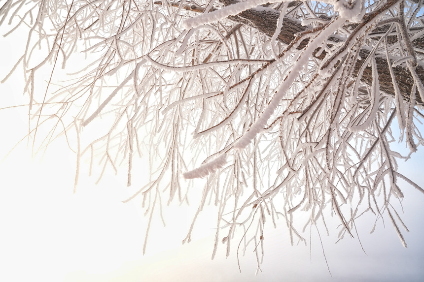 近日，吉林市迎來多場星級霧凇景觀。人民網記者 李洋攝