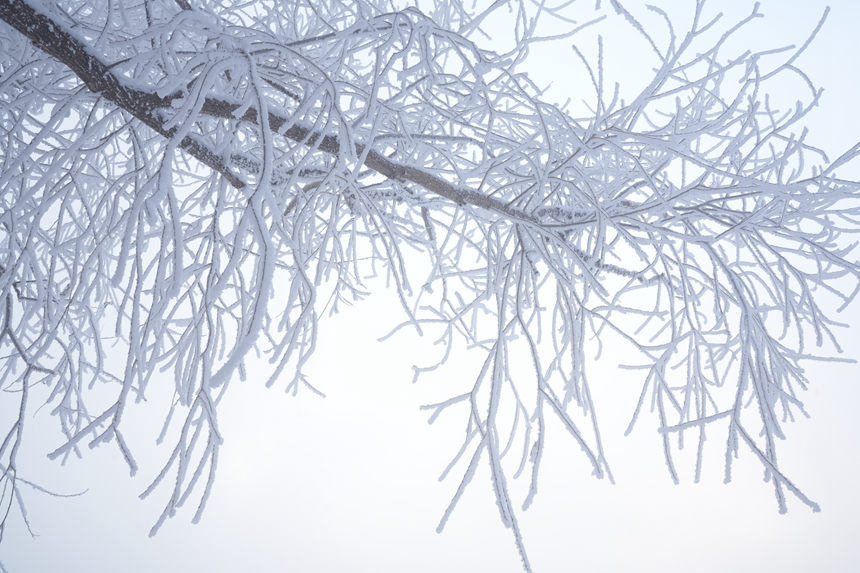 近日，吉林市迎來多場星級霧凇景觀。人民網記者 李洋攝