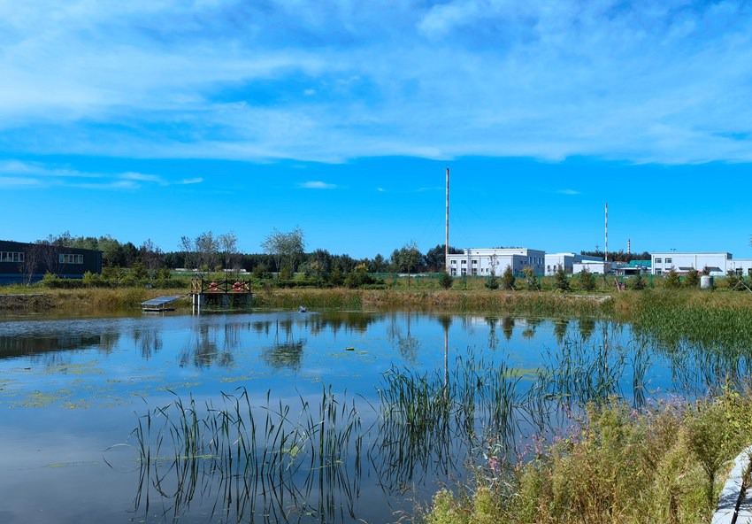 河流水環境治理見成效。人民網記者 馬俊華攝