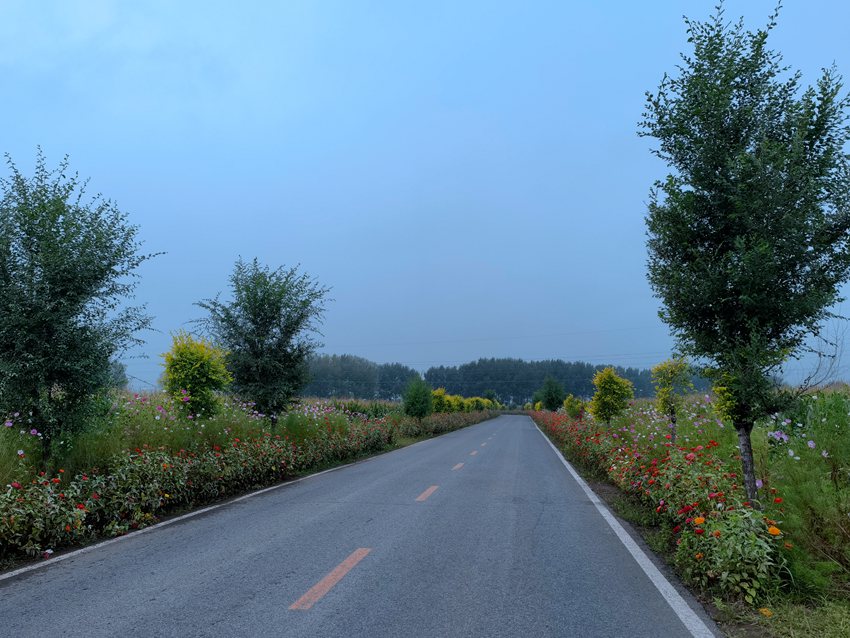 德惠市惠臺路一景。人民網記者 馬俊華攝