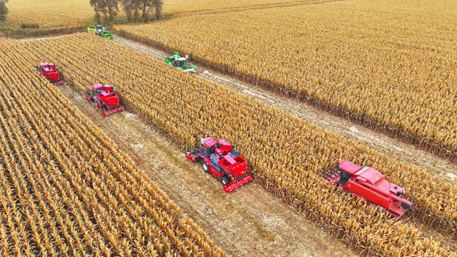 2023年德惠市喜迎豐收。（資料照片）德惠市委宣傳部供圖