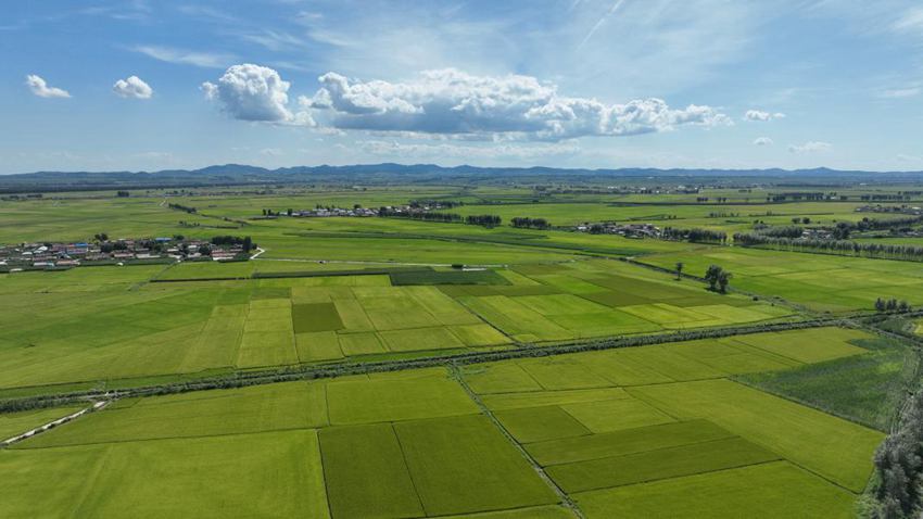 繪就農業現代化新畫卷。（德惠市委宣傳部供圖）