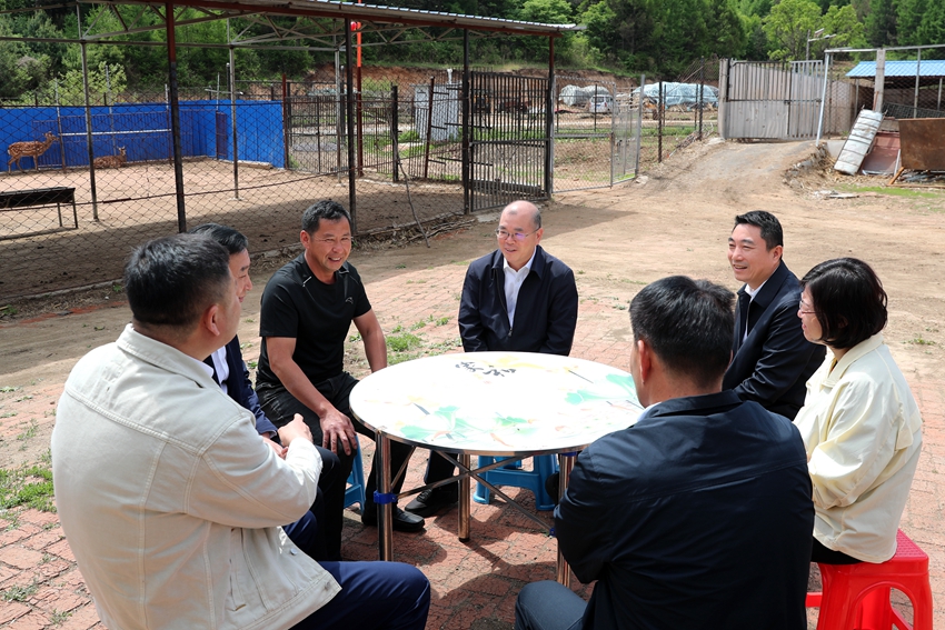 2023年5月22日，政協委員們到東豐調研梅花鹿產業。（徐子茵 攝）