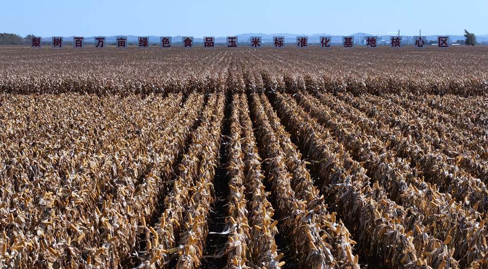 梨樹縣：奮力推進“梨樹模式”提檔升級　近年來，梨樹縣努力出經驗、 蹚路子、走在前、做表率，保護性耕作“梨樹模式”在全縣不斷完善，在促進黑土地農業可持續發展上顯示了巨大的潛力。