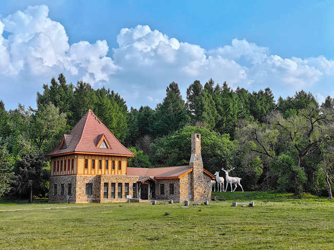 長春凈月潭國家森林公園。人民網記者 李洋攝