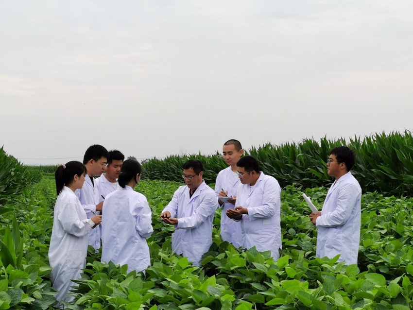 梨樹玉米科技小院教授正在給學生進行田間指導。（梨樹玉米科技小院）