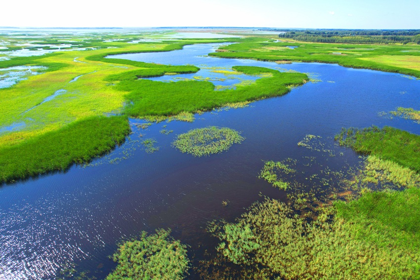 莫莫格濕地水草豐美。潘晟昱攝（資料圖片）