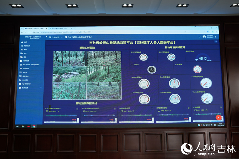 在吉林通化的云嶺野山參基地的數字人參大數據平臺上，光照度、地表濕度、風速等數據被實時記錄，以檢測人參生長狀態。人民網記者 李洋攝