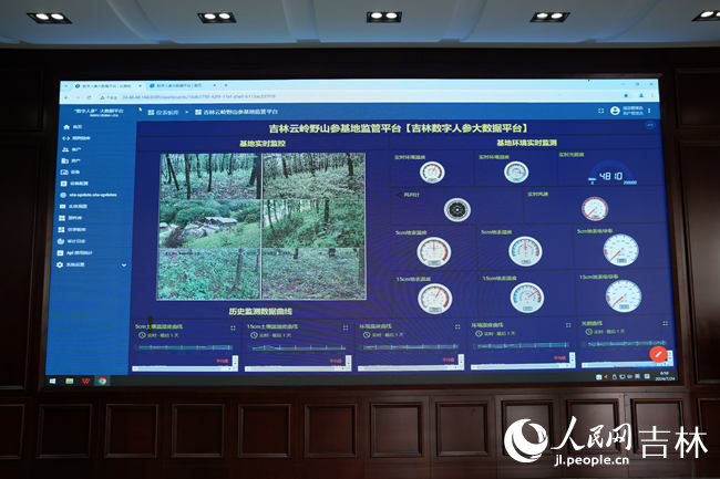 云嶺野山參基地人參大數據平臺。人民網記者 李洋攝