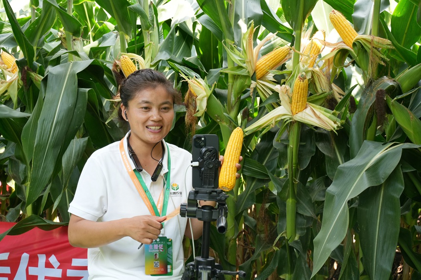 農技人員在長春農博會推介玉米抗倒伏品種。人民網記者 李洋攝