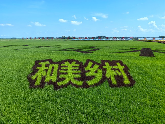 九臺區紅光村。人民網記者 李洋攝