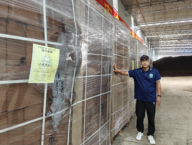 進口的生產原料椰糠。