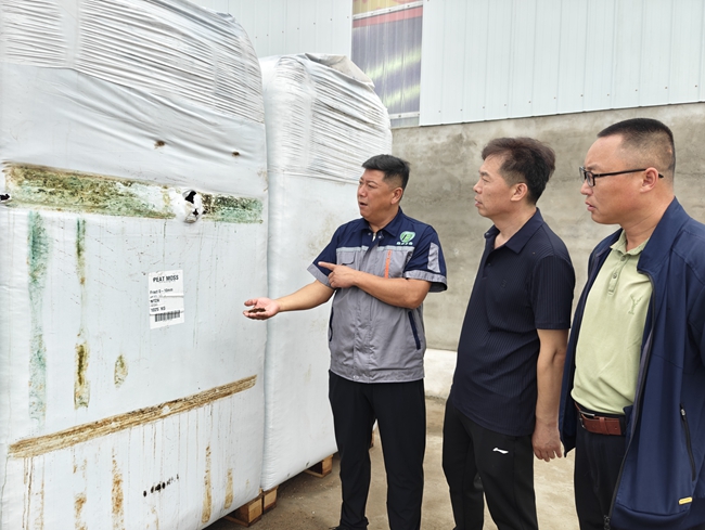 進口的生產原料椰糠。