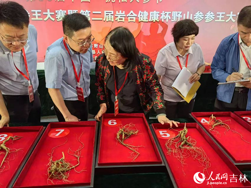 專家評委們討論。人民網記者 馬俊華攝