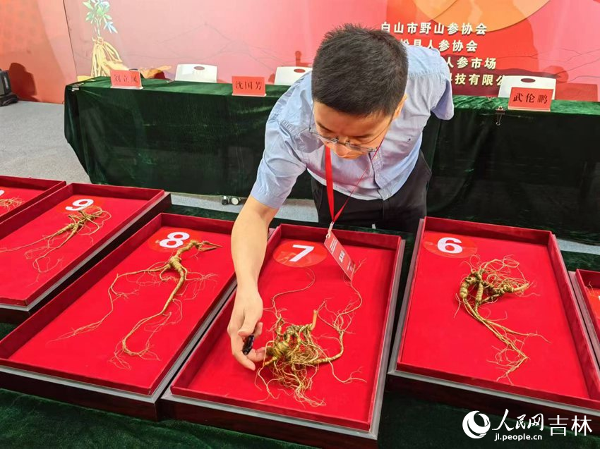 專家評委細致觀察。人民網記者 馬俊華攝