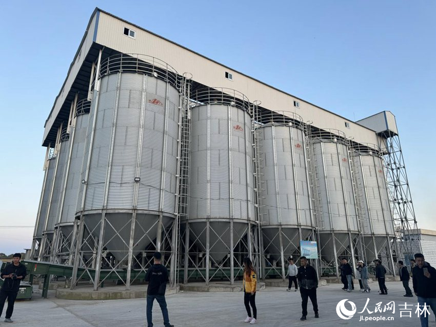 可儲存3000噸種子的玉米倉儲庫。人民網記者 李思玥攝