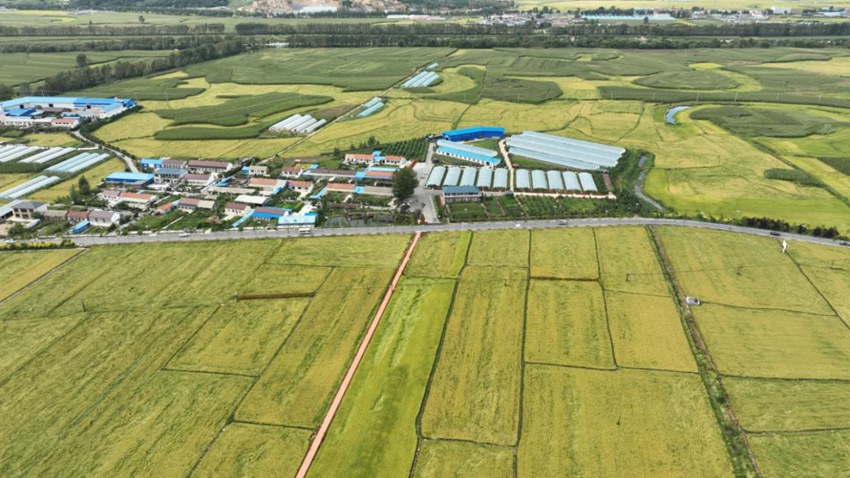俯瞰西太平村。（梅河口市委宣傳部供圖）