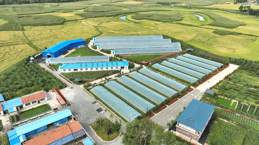 果蔬種植采摘基地。（梅河口市宣傳部供圖）