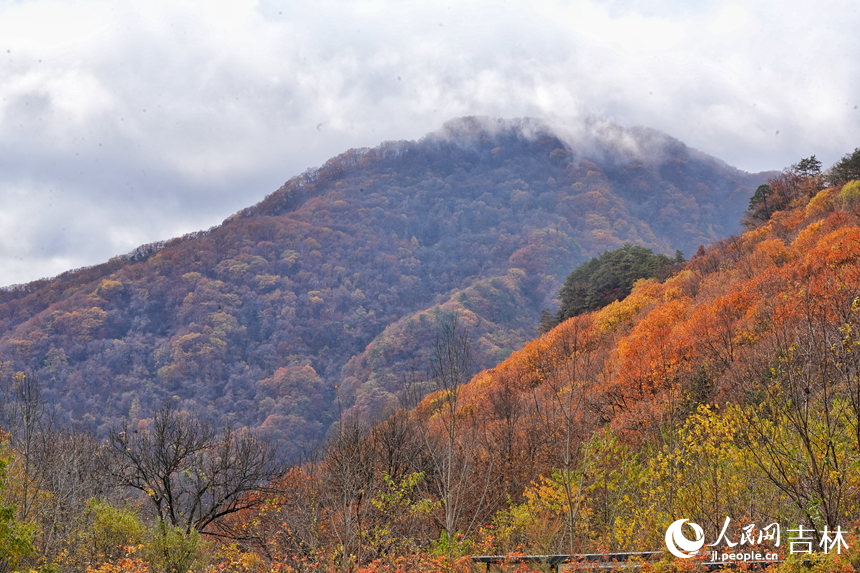 秋日的五女峰宛如一幅多彩的山水圖。人民網記者 李洋攝