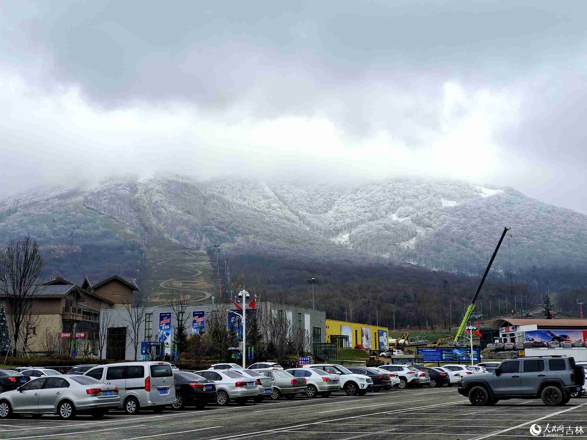 吉林市初雪玉樹銀花，分外妖嬈。人民網記者 關思聰攝