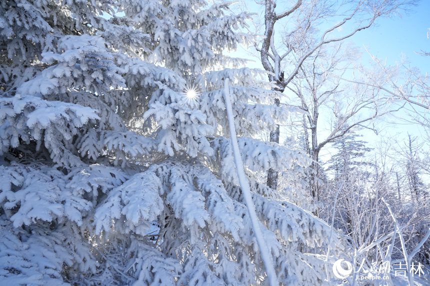 北大湖霧凇景觀。人民網記者 李洋攝